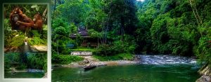 Objek Wisata Bukit Lawang